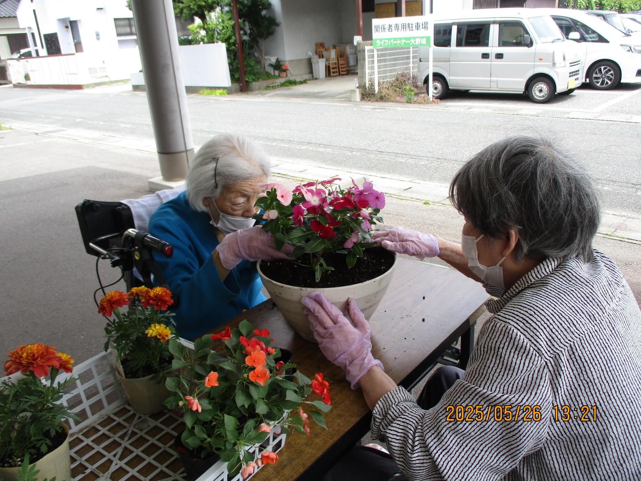 写真3.1.JPG