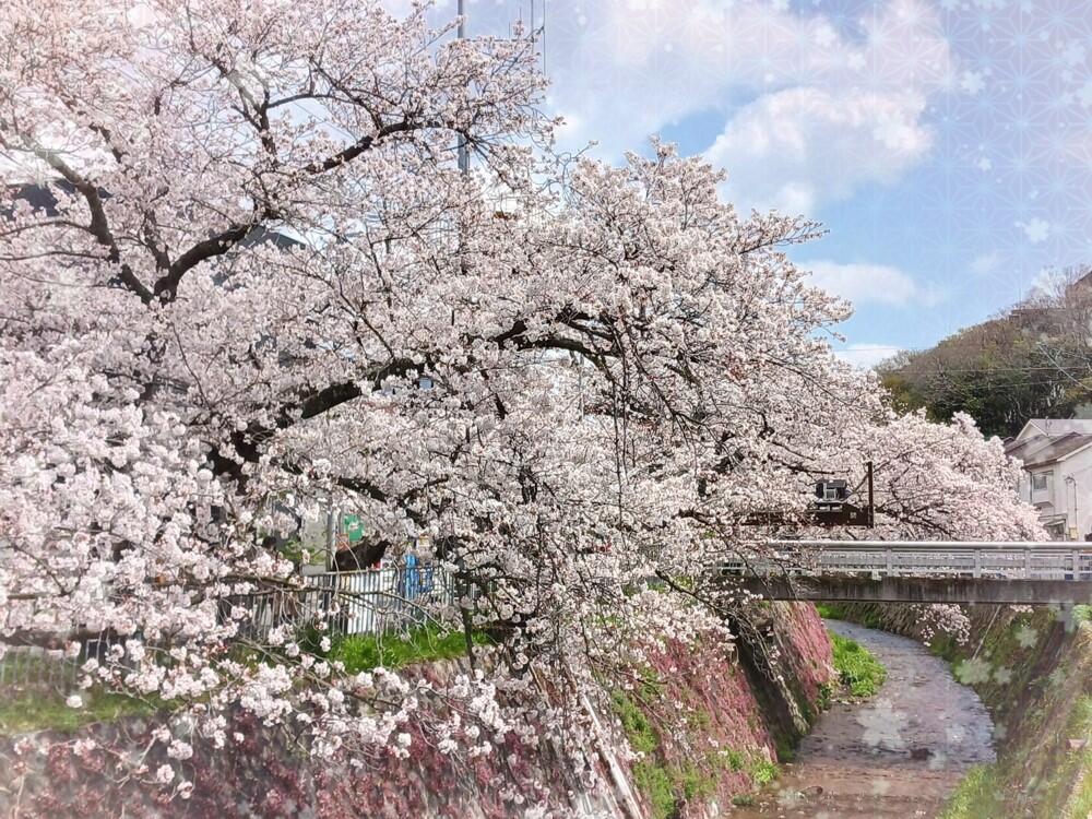 写真②.1.jpg