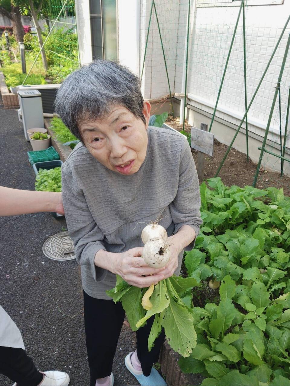 かぶ.jpeg