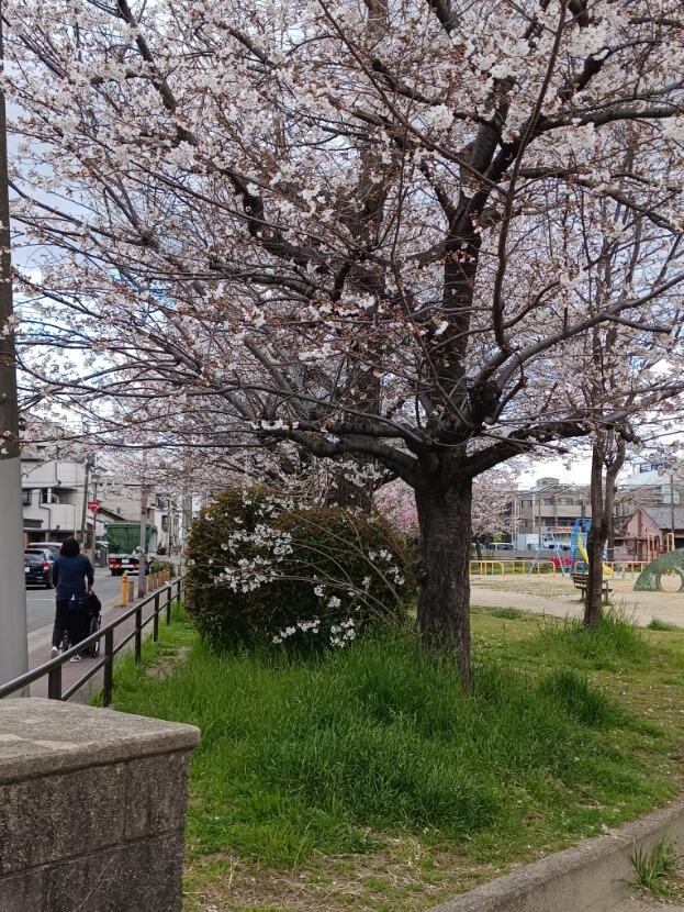 20250403_141623.jpg
