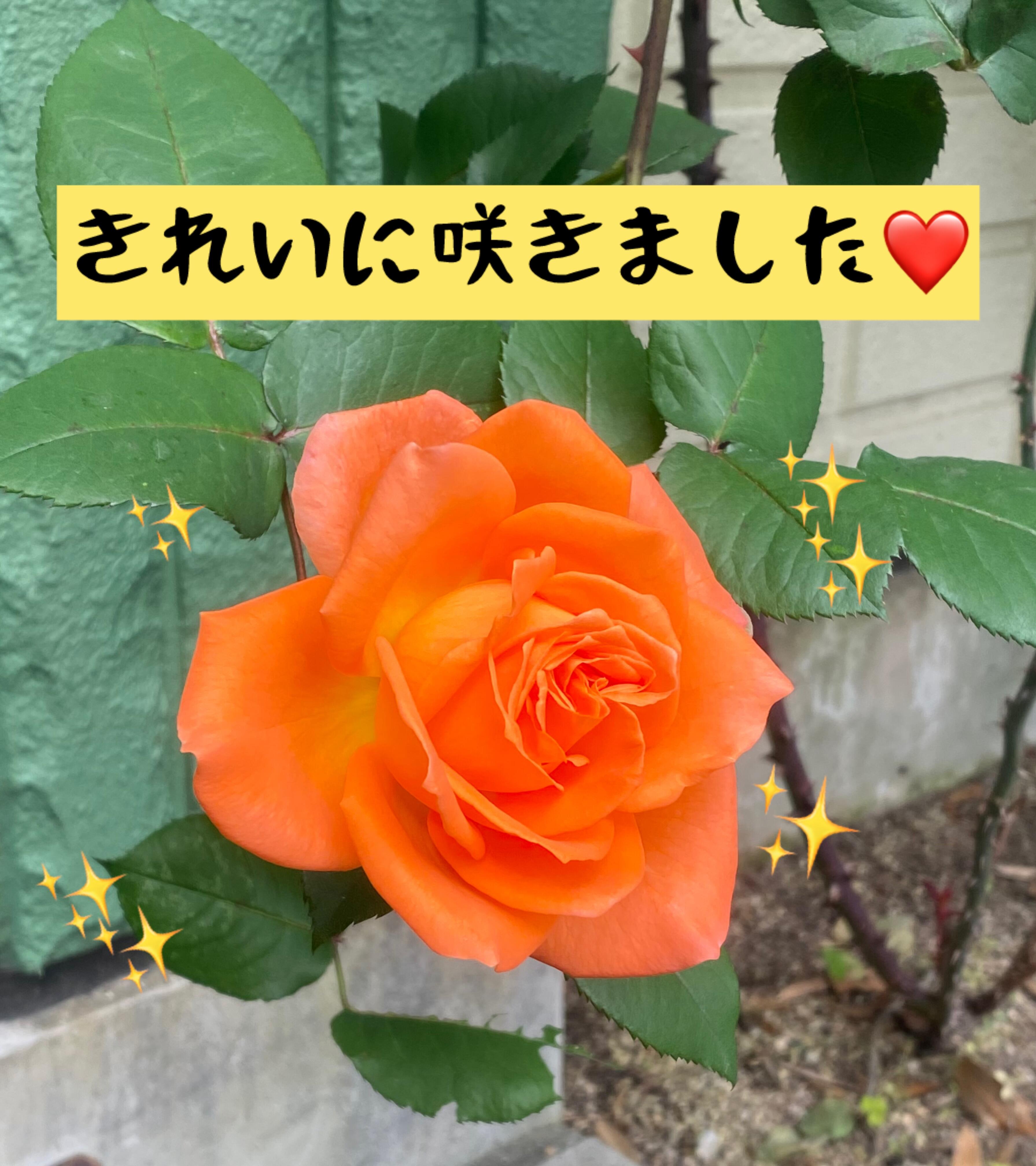 写真①.jpg