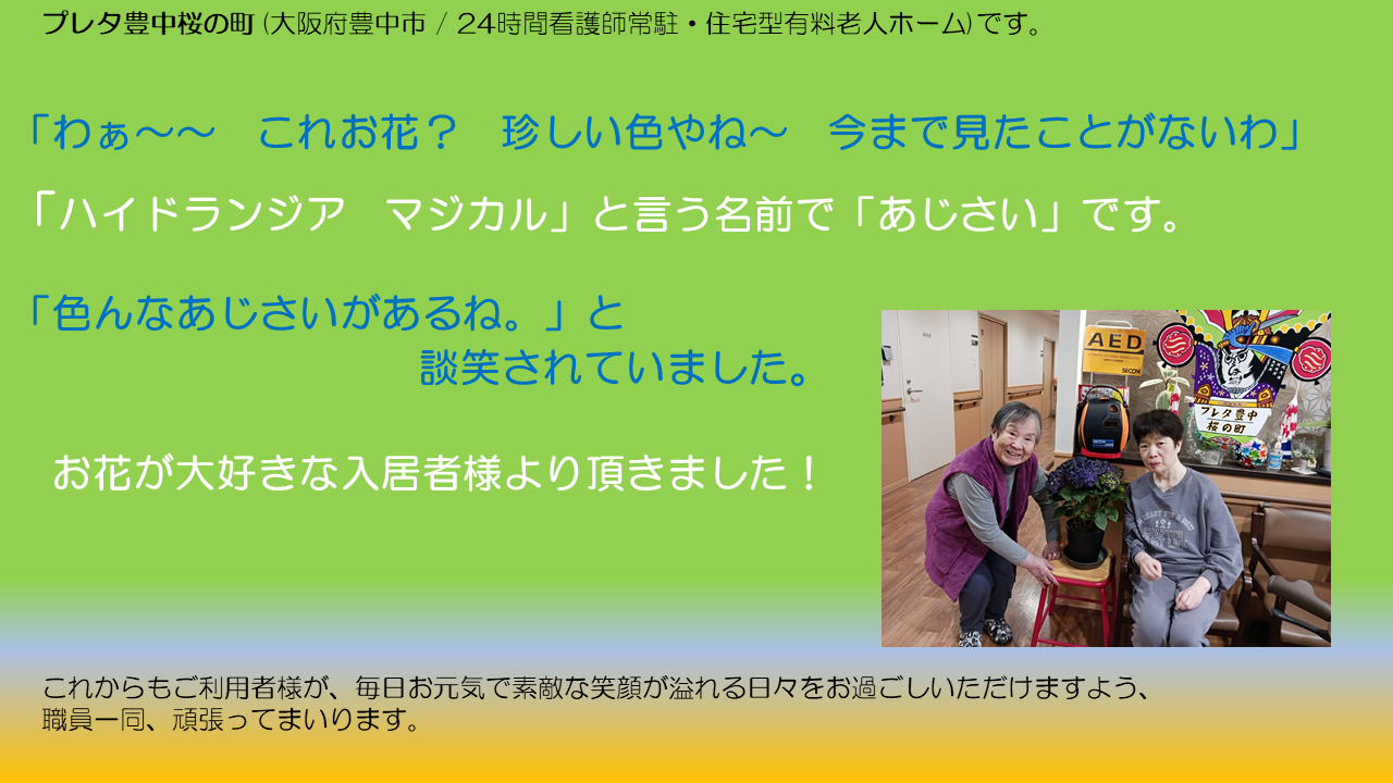 菊池さん　ブログ.png