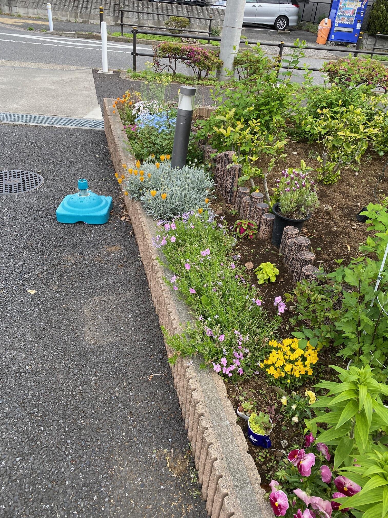 花壇．1.jpeg