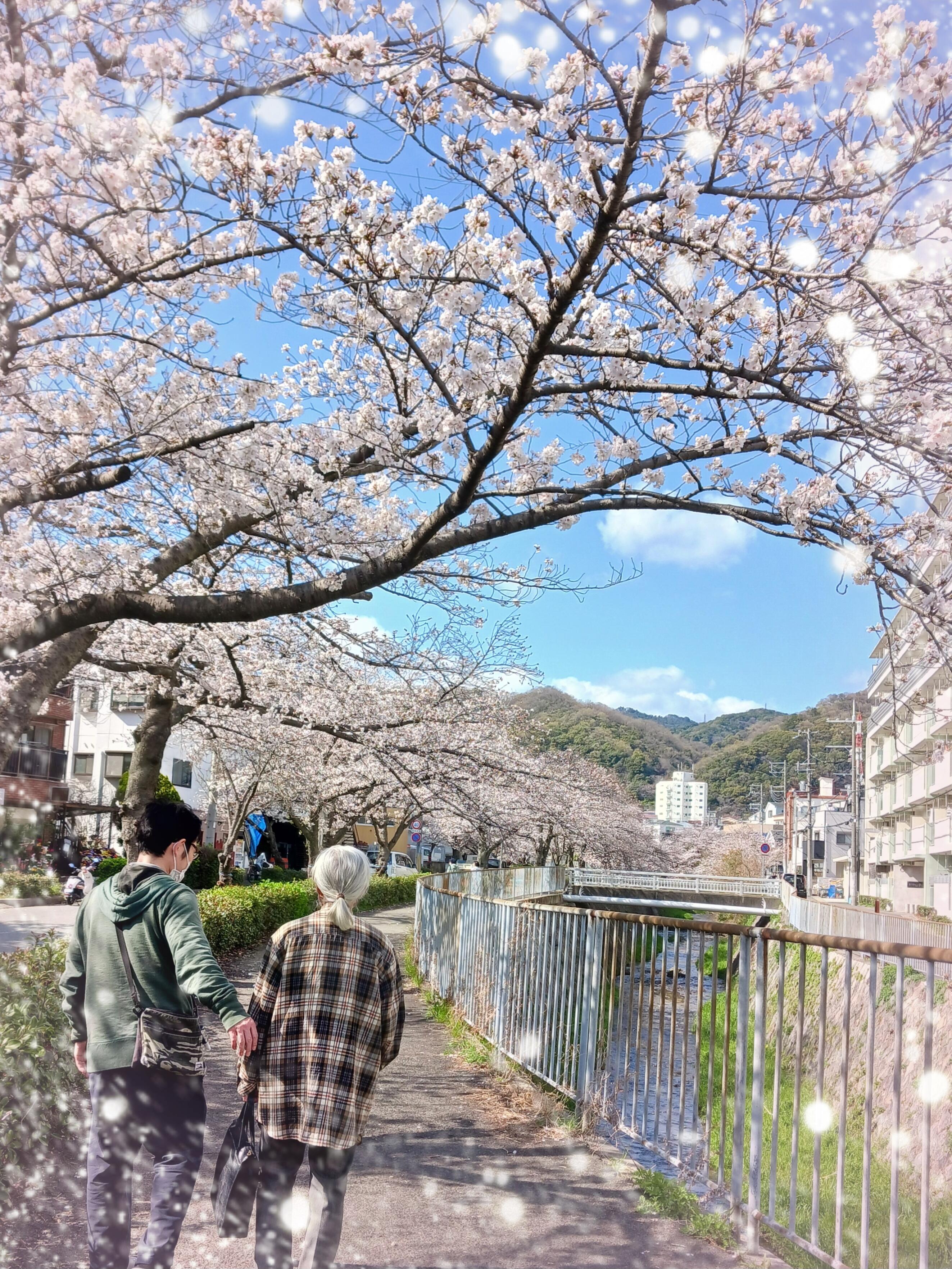 写真①.jpg