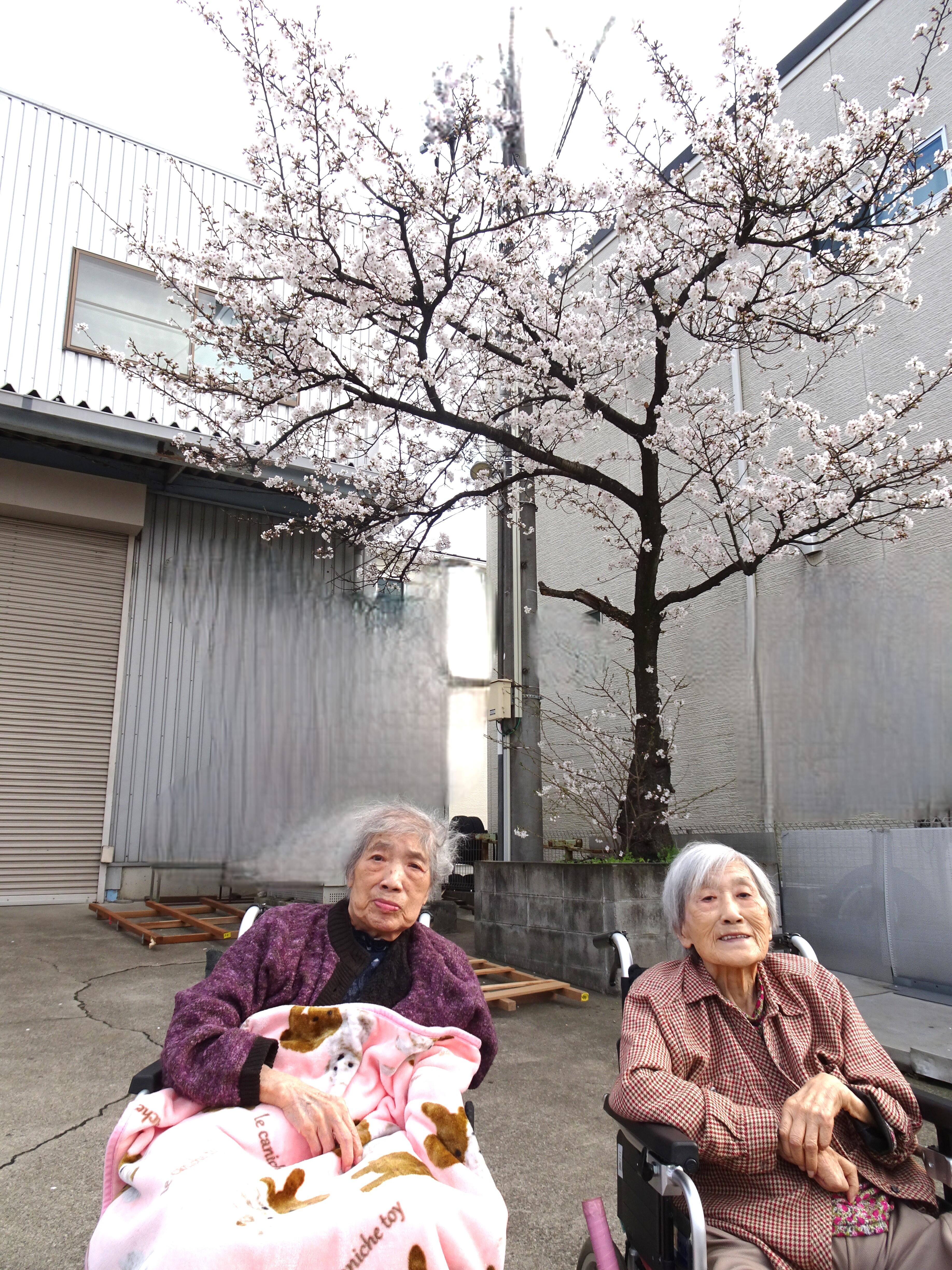写真１.JPG