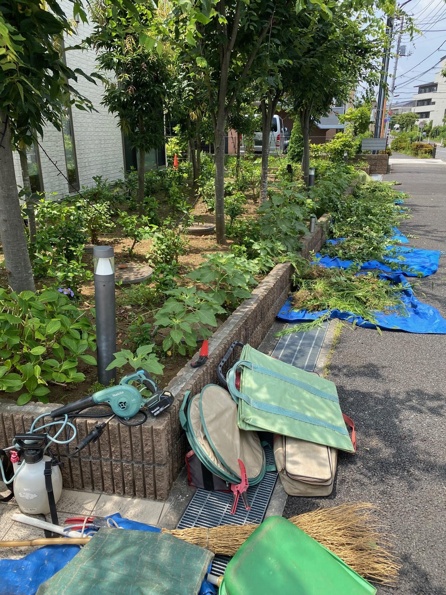 2025.7花壇①.jpeg