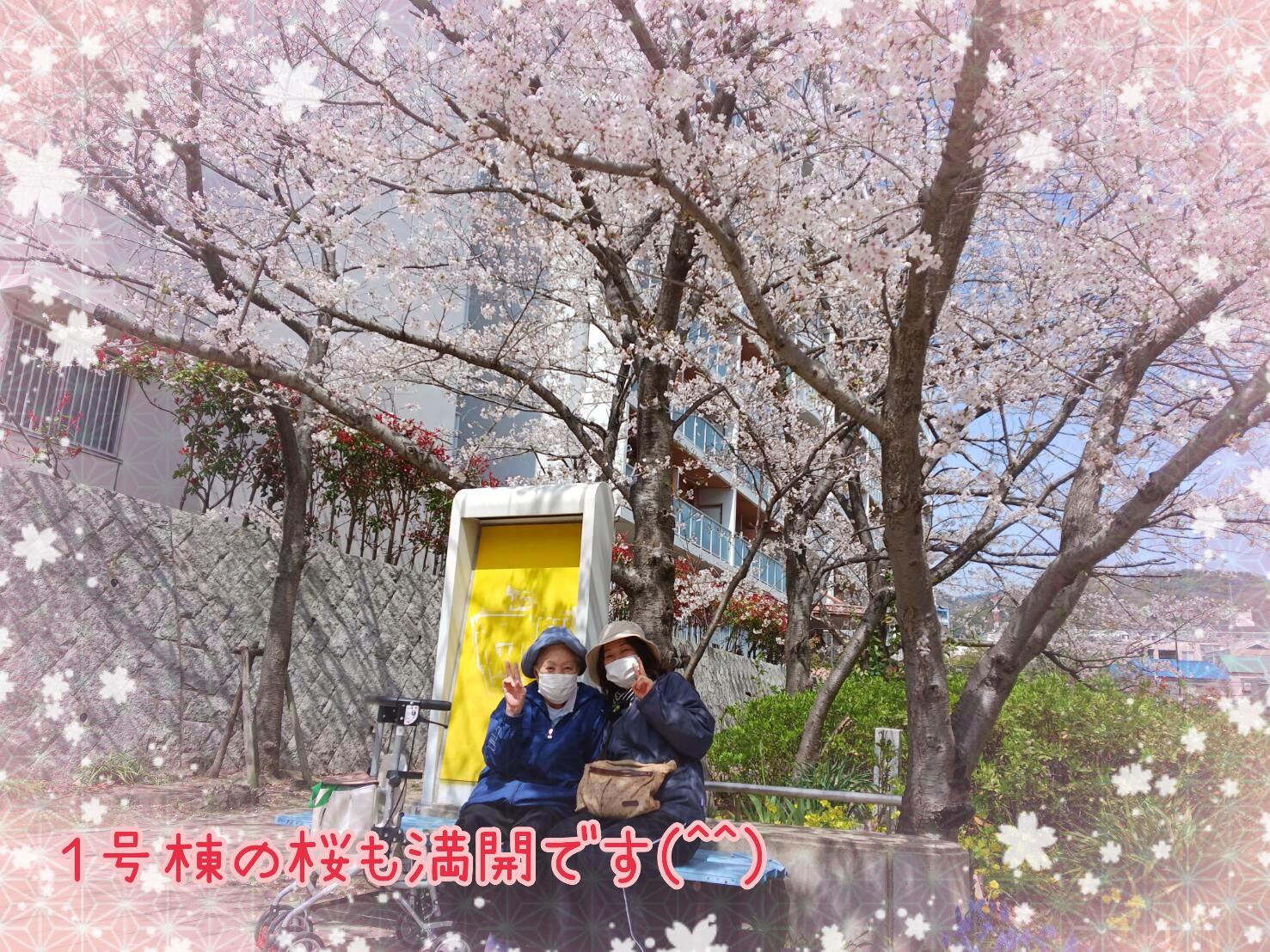 写真③ .jpg