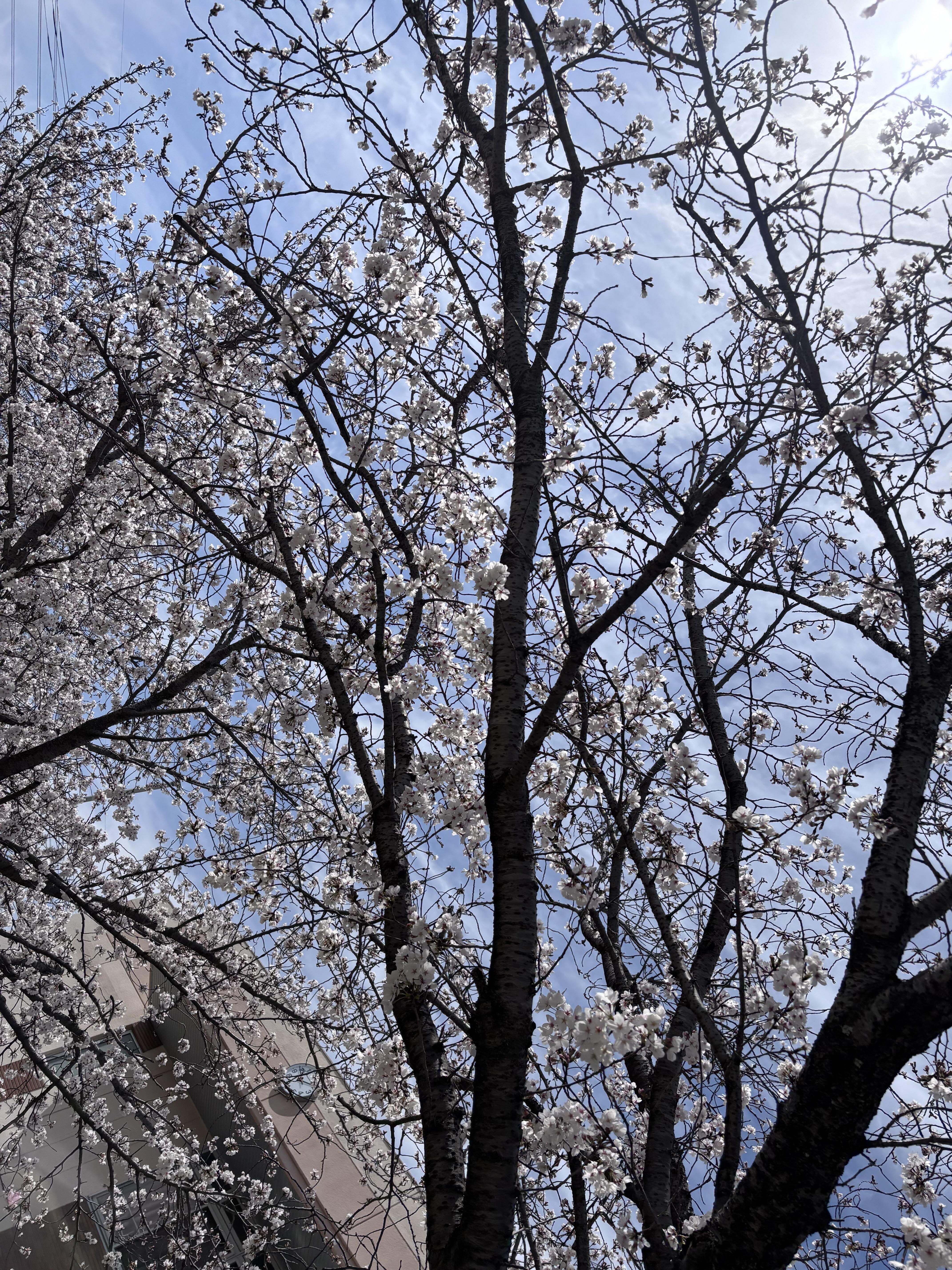 写真①.jpg