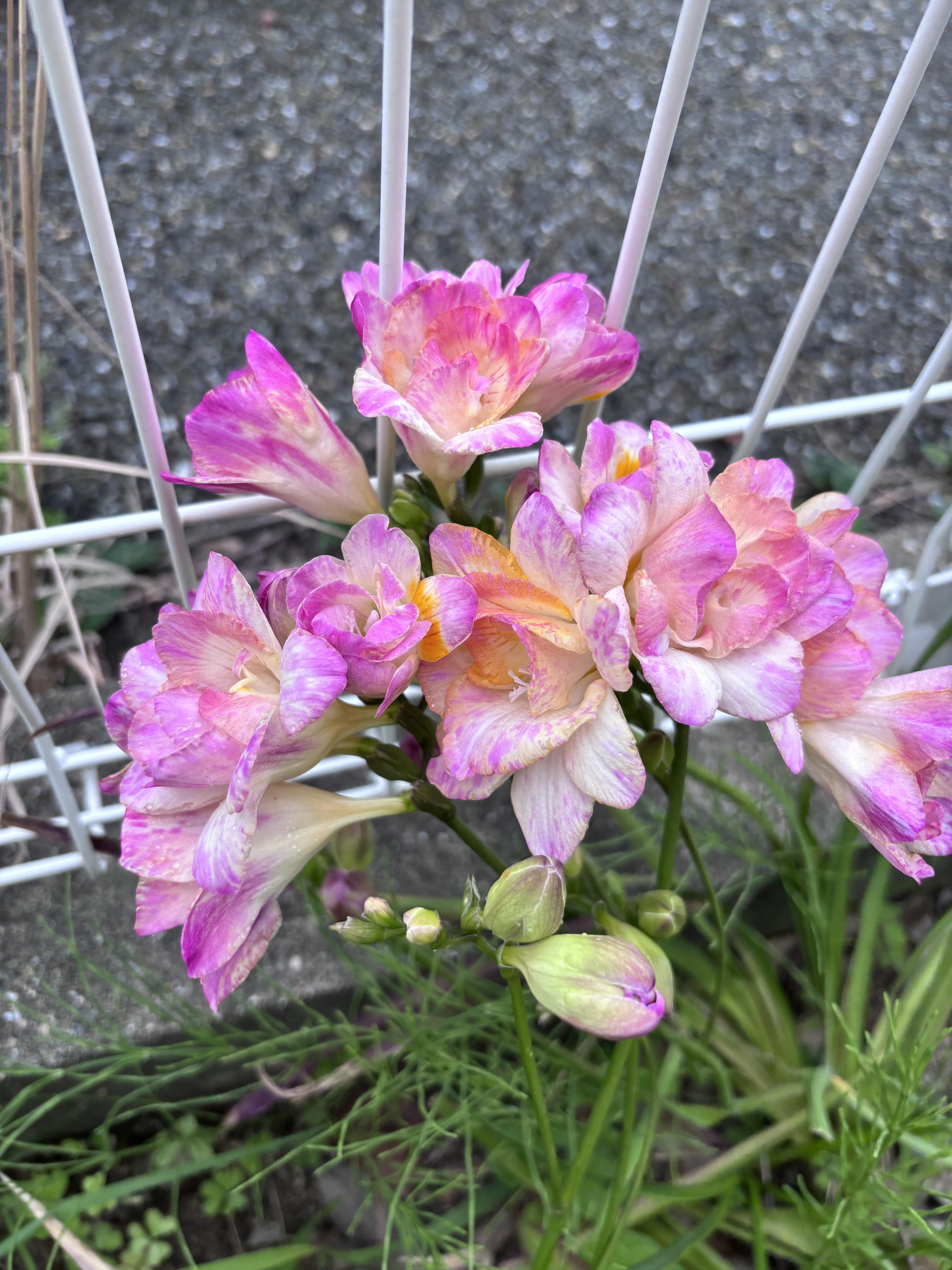写真①.jpg