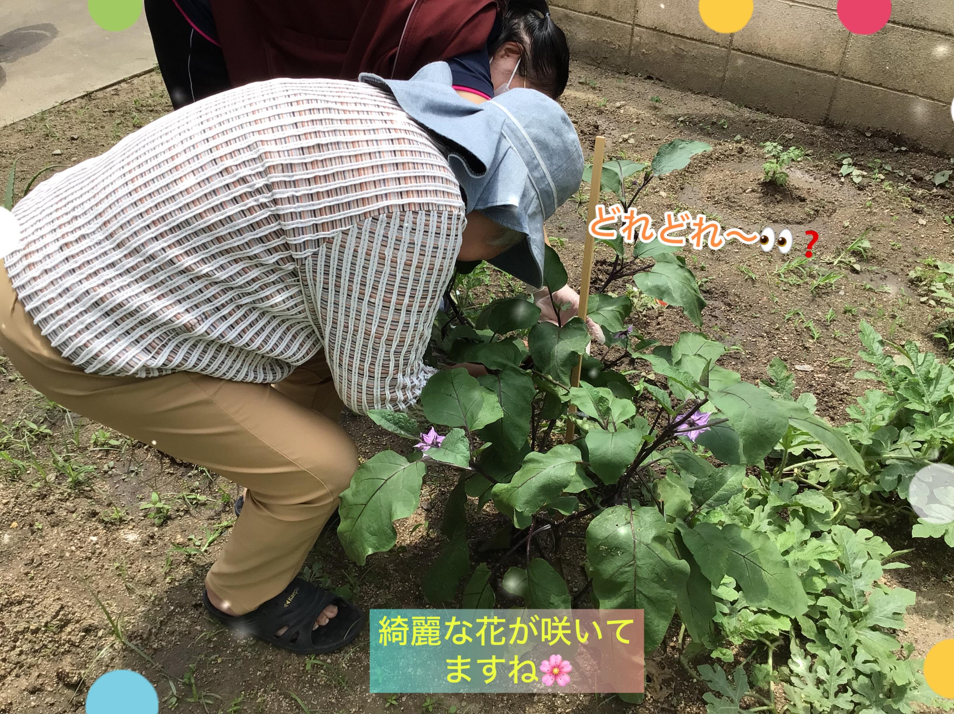 写真②.jpeg