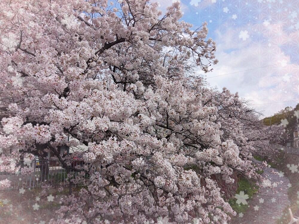 写真③.1.jpg