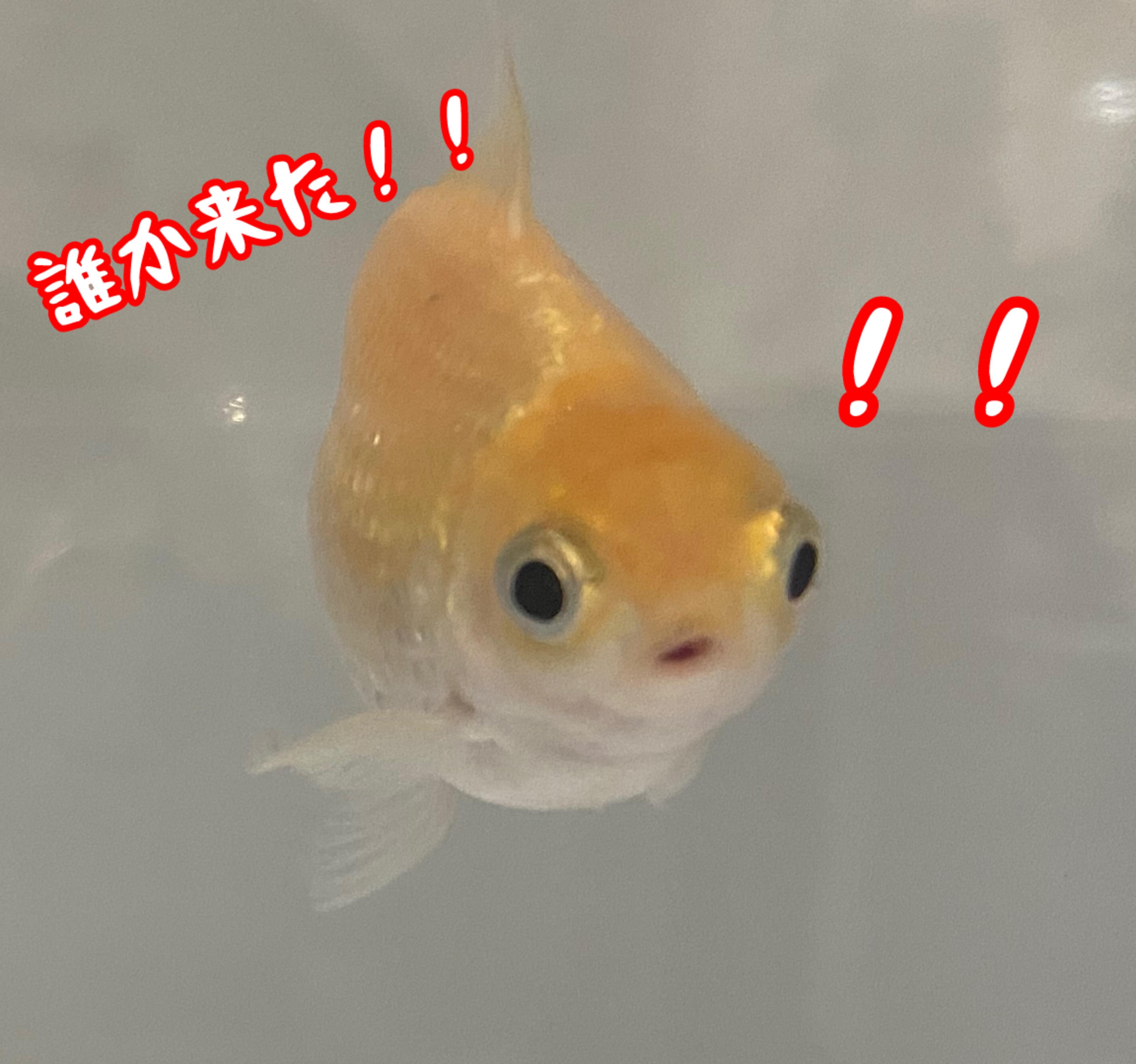 写真⑦.jpg