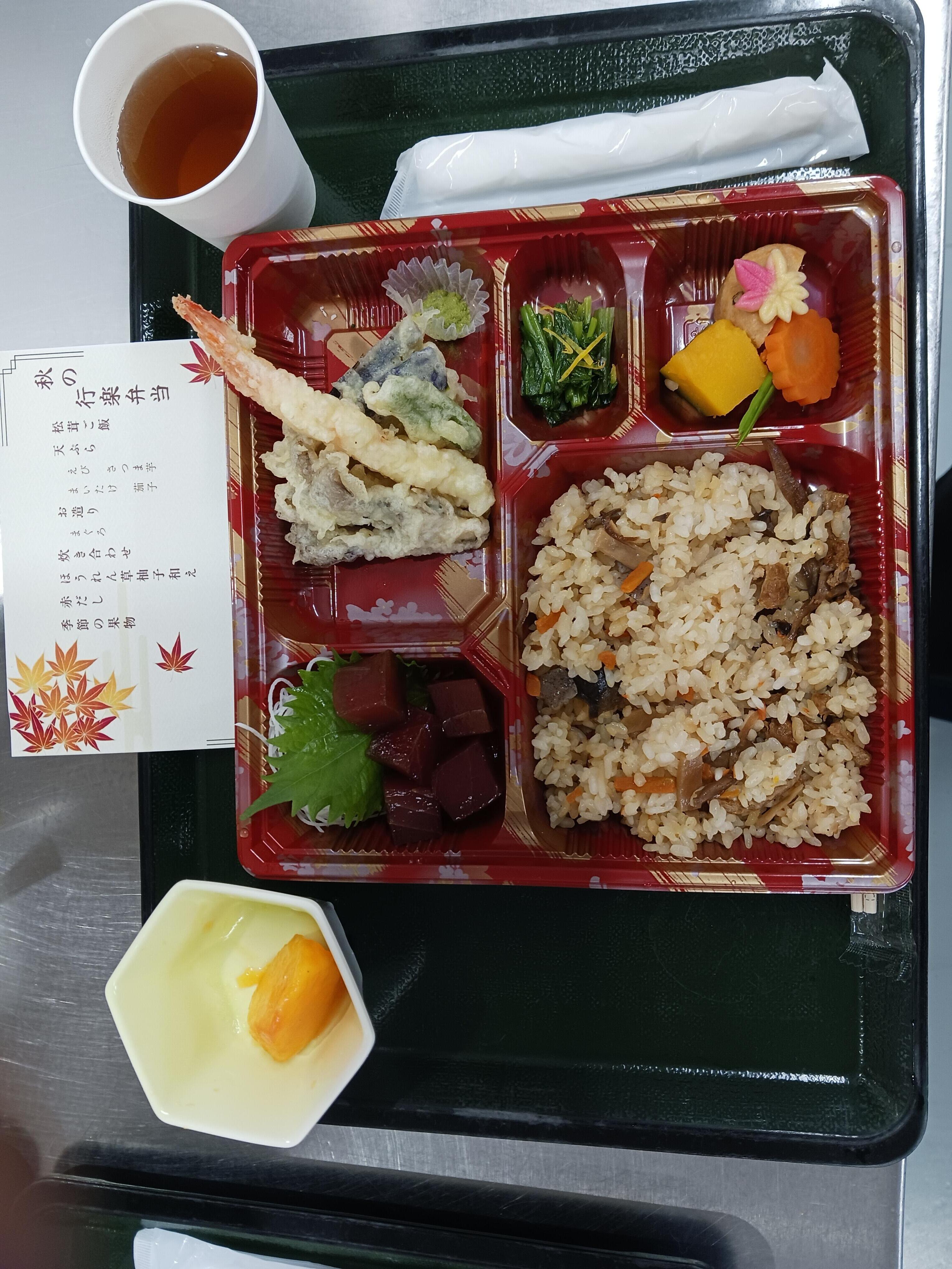 行楽弁当 (常食).jpg