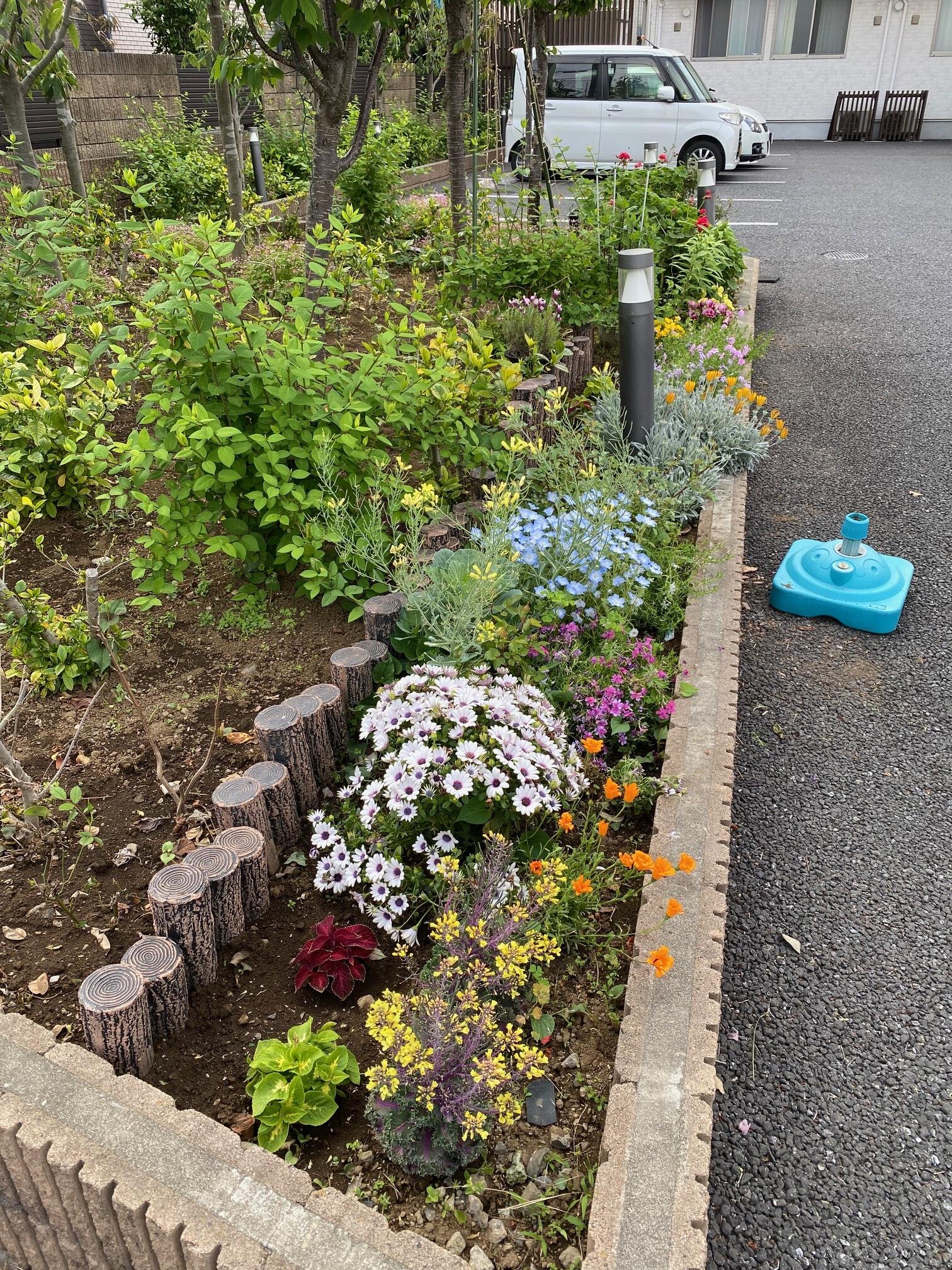 花壇．2.jpeg