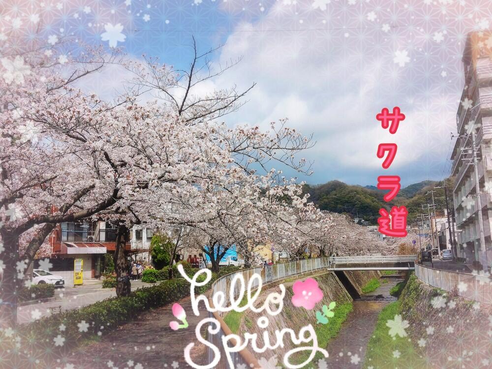 写真①.1.jpg